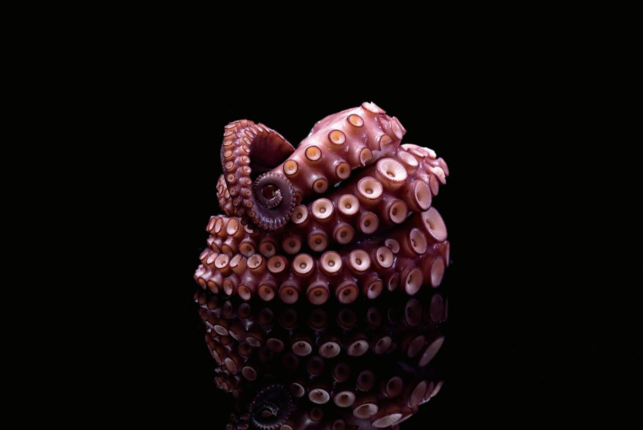 Tentacules de zourite — Produit signature | Zourite Bourbon